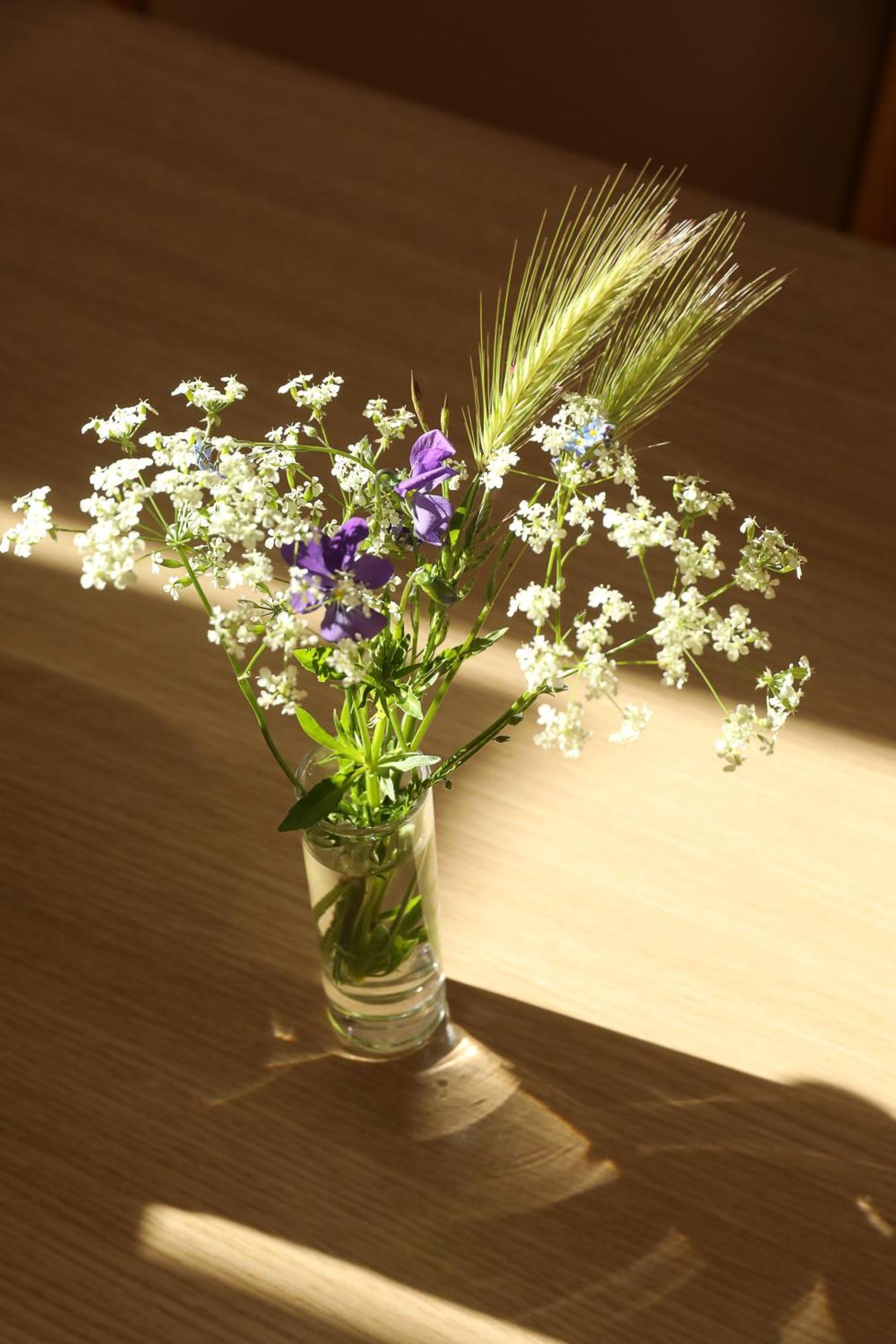 Logis Hotel Spa Restaurant Le Provence Lanarce Luaran gambar