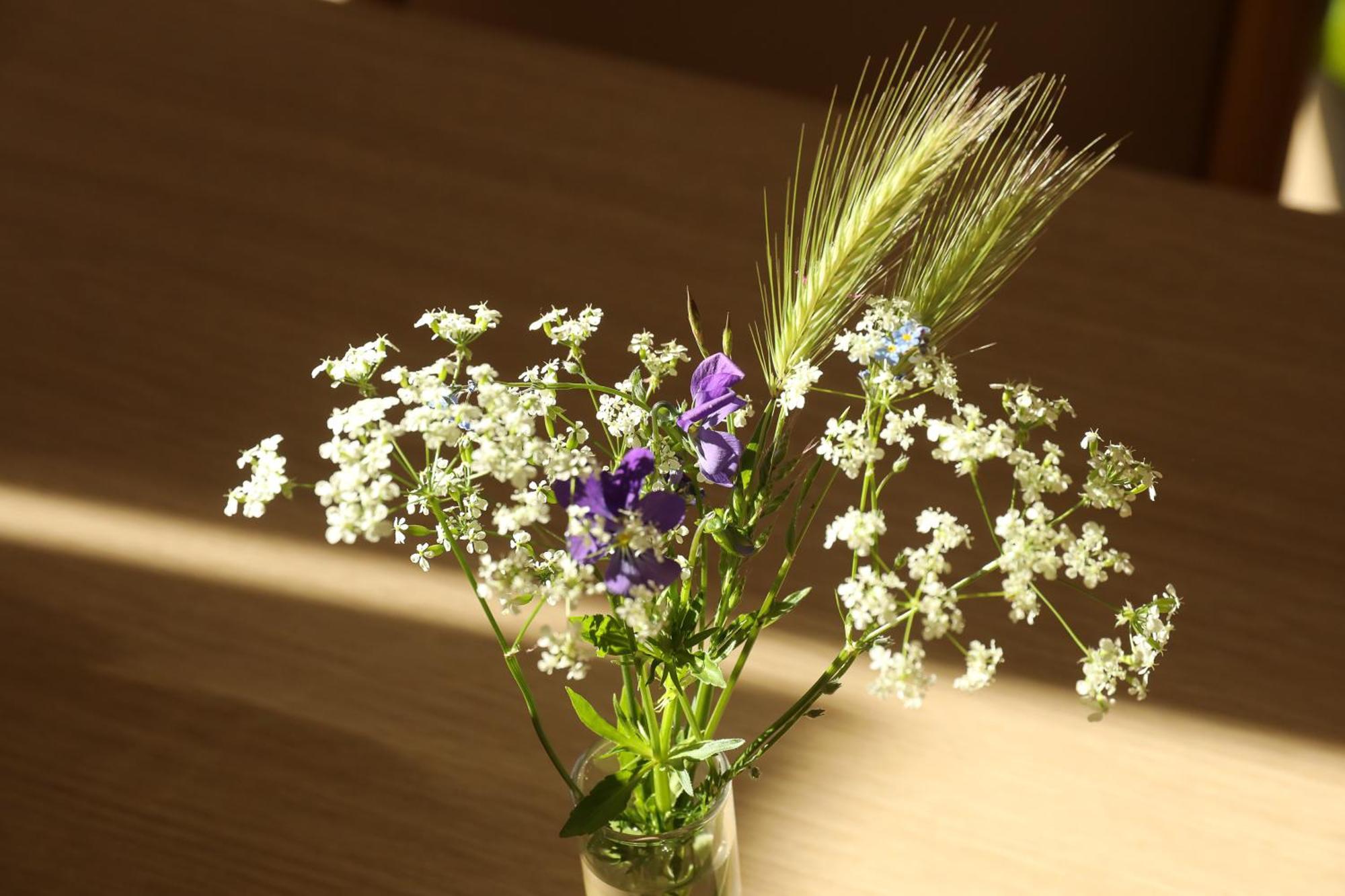 Logis Hotel Spa Restaurant Le Provence Lanarce Luaran gambar